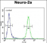 CCDC123 Antibody (C-term)